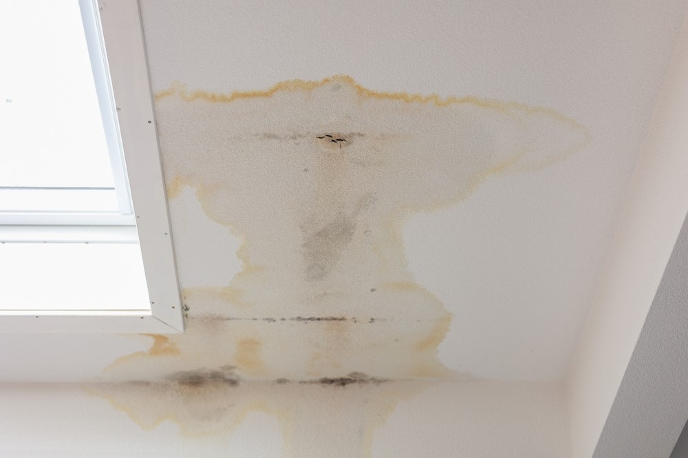 How to Prevent Roof Leaks and Damage