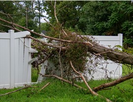 Storm Damage - Tree Removal Photo 2