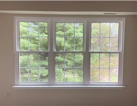 Windows - Vinyl Photo 32