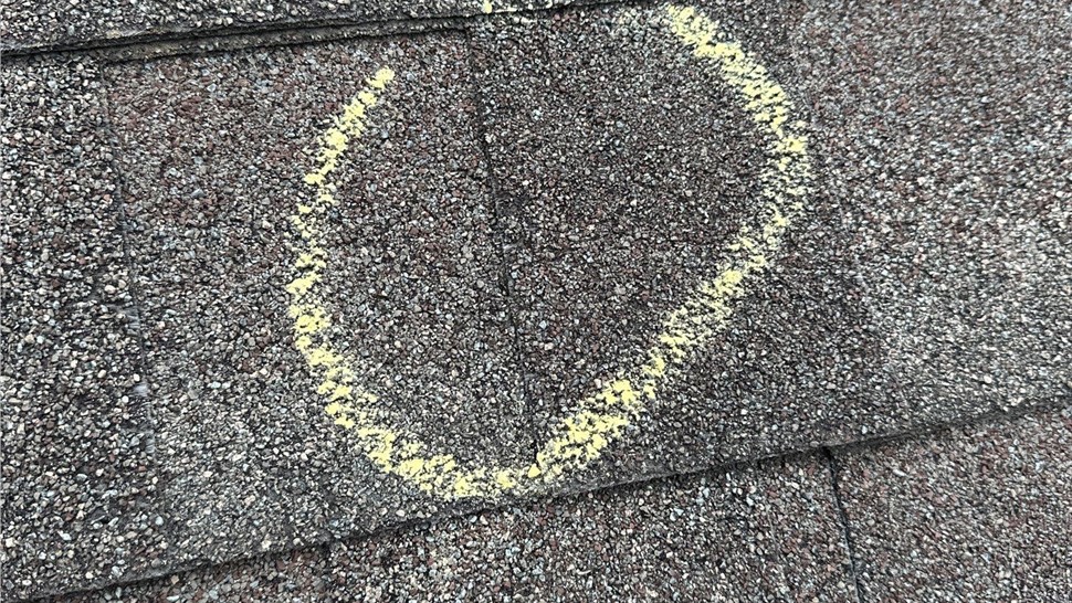 Hail Damage Photo 89