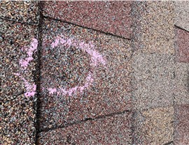 Storm Damage Photo 43