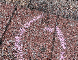 Storm Damage Photo 72