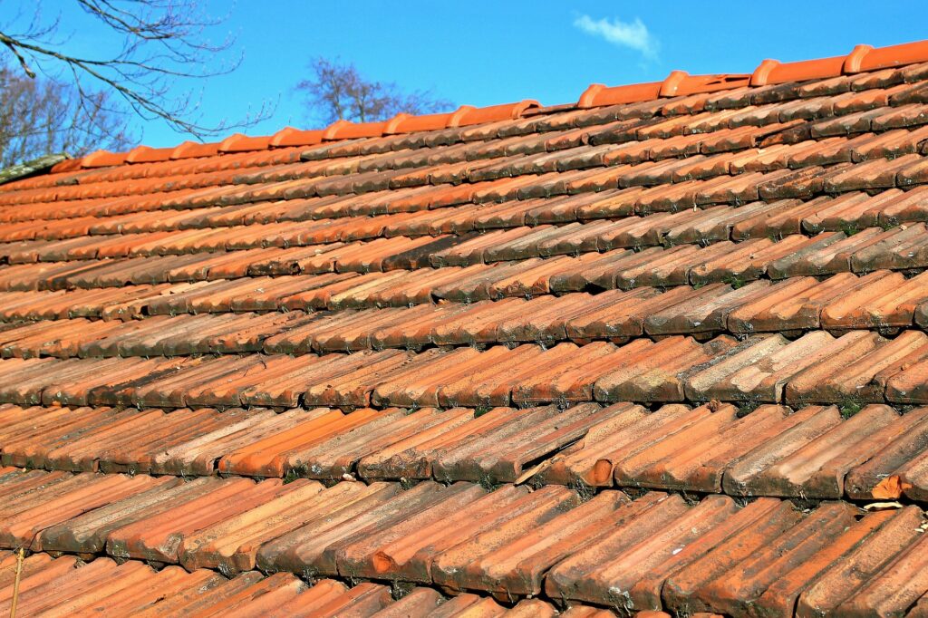 Neglected roof tiles that need cleaning to prevent blockages