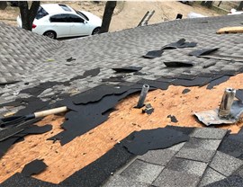 Storm Damage Photo 2