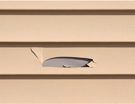 Storm Damage Photo 1