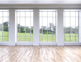 Windows & Doors - Window Walls Photo 4