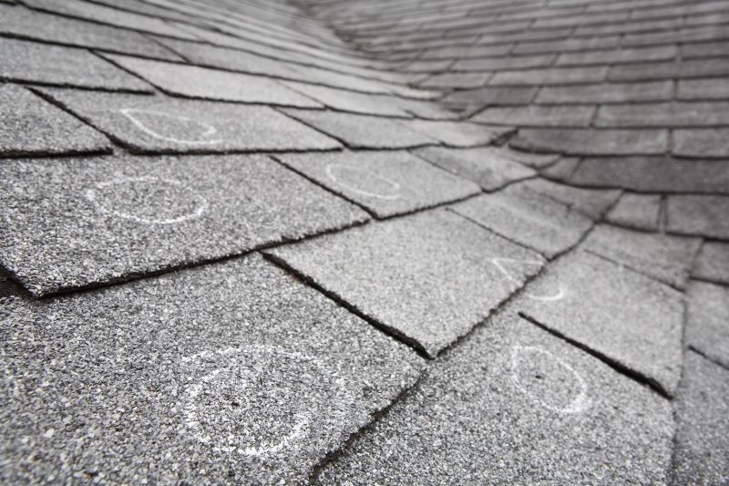 Roof Shingles with damaged spots circled