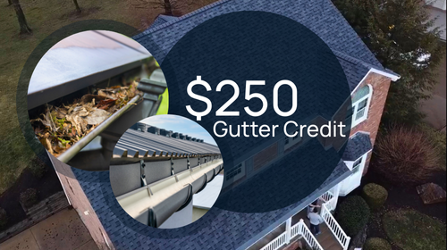 $250 off gutter replacement 