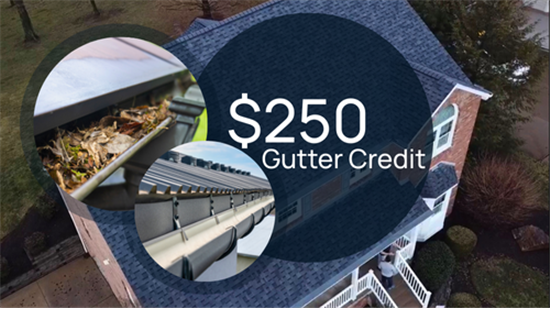 $250 off gutter replacement 