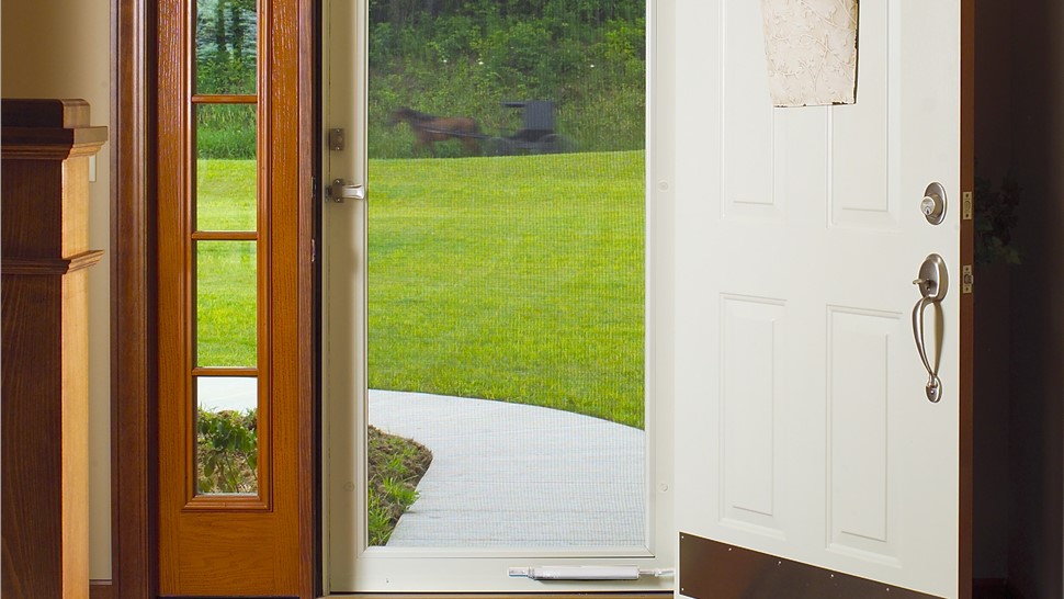 Doors Photo 9