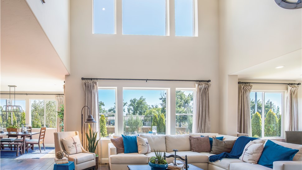 Window Types Photo 96