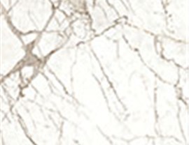 Shower/ Wall Colors Photo 21