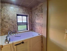 Walk-In Tubs Photo 3