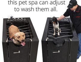 Pet Spa Photo 2