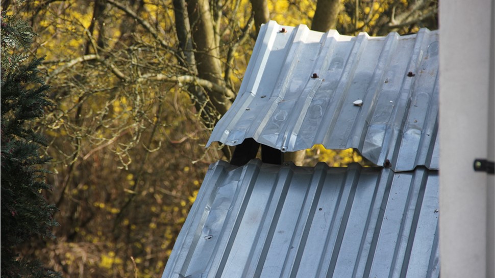 Storm Damage Photo 1