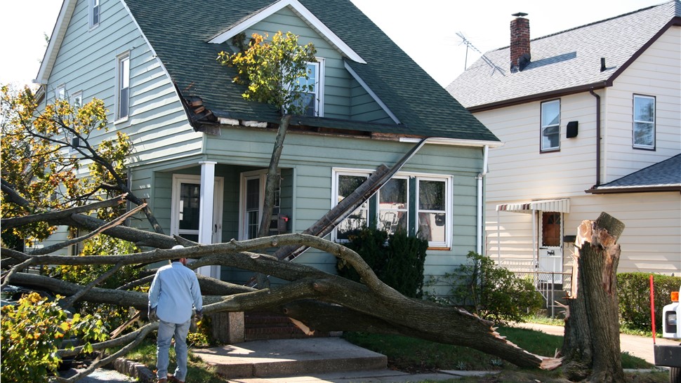 Storm Damage Photo 3