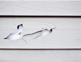 Siding - Siding Repair Photo 2