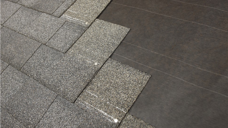 Damaged roof shingles