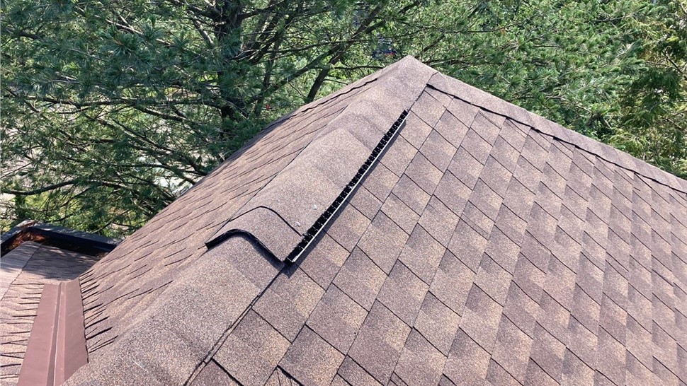 Close-up of a Barkwood Timberline HDZ shingle roof replacement in Hyde Park, OH, showcasing the ridge vent, shingle alignment, and roof valleys. Green pine trees provide a natural backdrop.