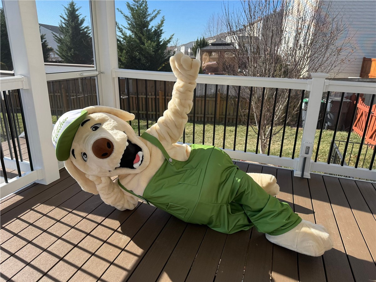 Roofus lying down on a deck.