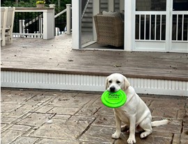 Outdoor Living - Patios Photo 4