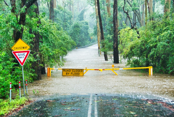 Effective Flood Damage Cleanup Tips for Business Owners in St. Petersburg