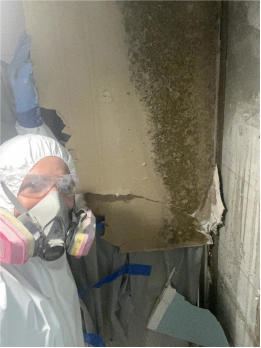 Prioritizing Safety in Mold Cleanup: A Guide for Orlando Residents