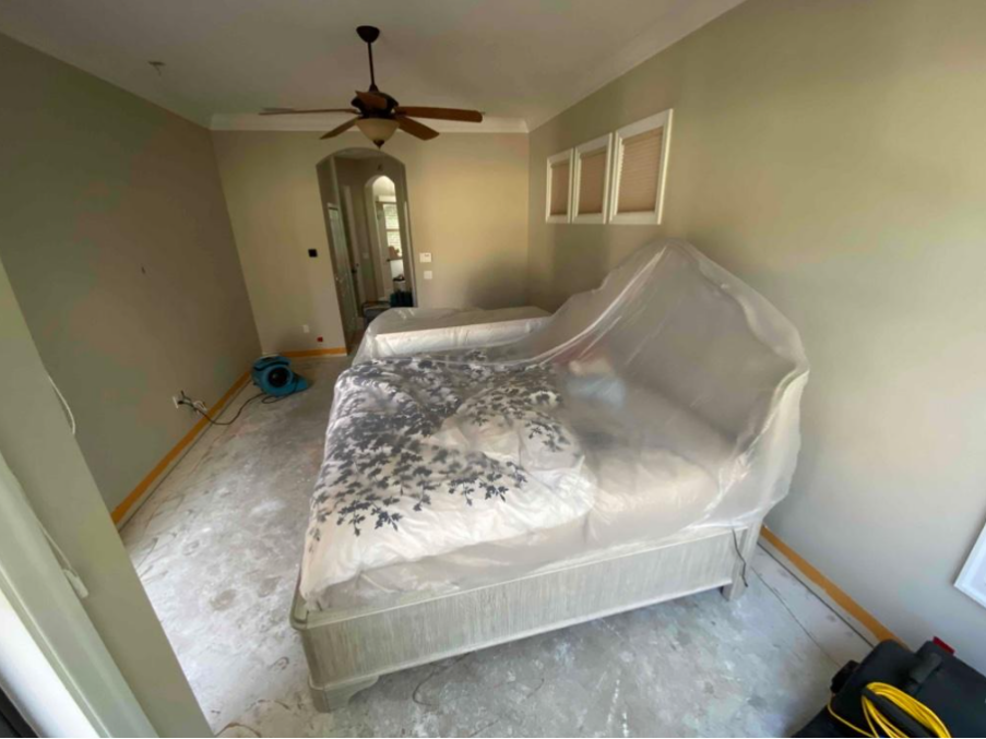 Mold Prevention in Bradenton: Best Practices for Homeowners
