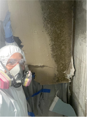 a person wearing full hazard suit and working on mold removal  