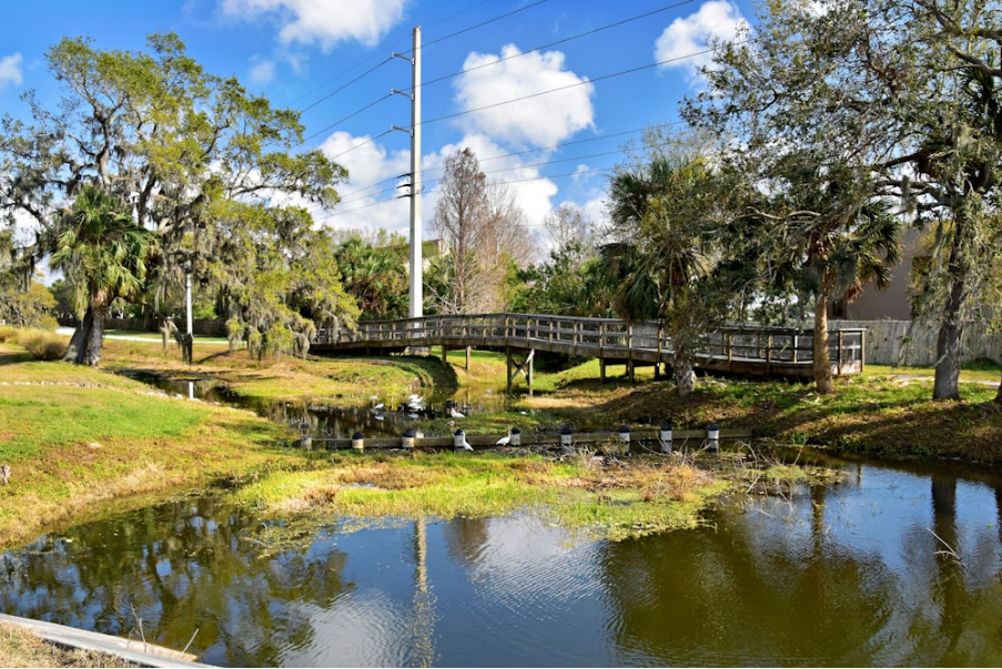 Sarasota's Ecotourism Attractions: Exploring Nature's Wonders