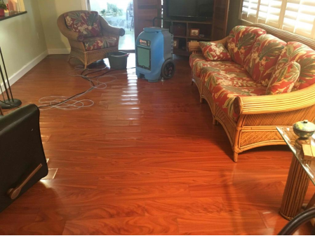 Water Damage in Bradenton? Here’s What NOT to Do!