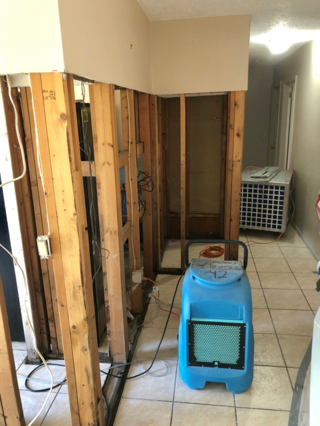 Water Damage 101: Understanding the Basics for St. Petersburg Homeowners