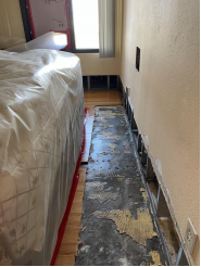 Why Water Damage Restoration is Crucial for St. Petersburg Homes