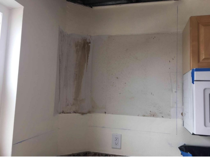 Mold Madness: Identifying and Preventing Mold Growth in Your Bradenton Home