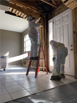 Prioritizing Safety in Mold Cleanup: A Guide for Orlando Residents