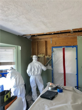 Effective Safety Strategies for Mold Removal in Orlando