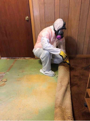 Mold Madness: Identifying and Preventing Mold Growth in Your Bradenton Home