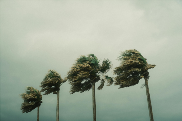 Preparing Your Clearwater Home for Future Storms: Tips and Strategies
