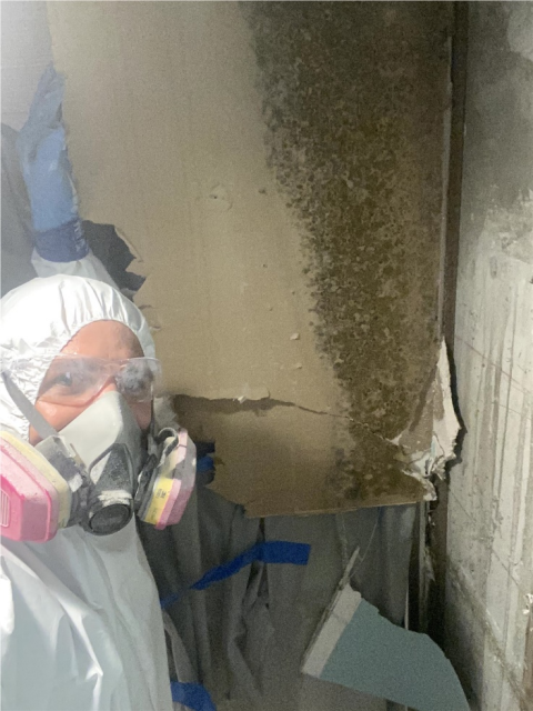 Mold Prevention in Bradenton: Best Practices for Homeowners