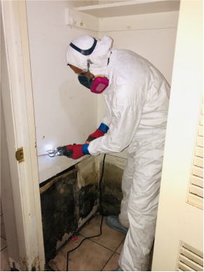 Mold Prevention: Create a Healthy and Safe Living Environment in Tampa