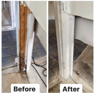 Effective Safety Strategies for Mold Removal in Orlando