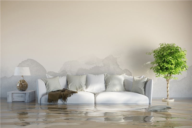 Water Damage Restoration Tips: How to Spot Water Damage (And Why You Shouldn’t Ignore It for Long)