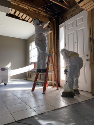 Mold Mayhem in St. Pete? Don't Panic! Here's How to Restore Your Home