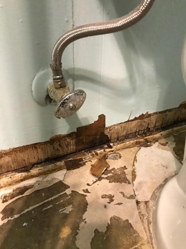 Burst Pipes? Don't Let a Leak Sink Your Tampa Home