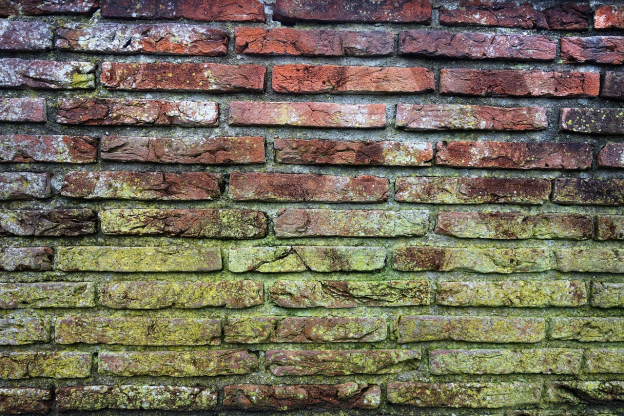 a brick wall covered in mold 