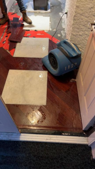 Why DIY Water Damage Repairs in Clearwater Can Cost You More