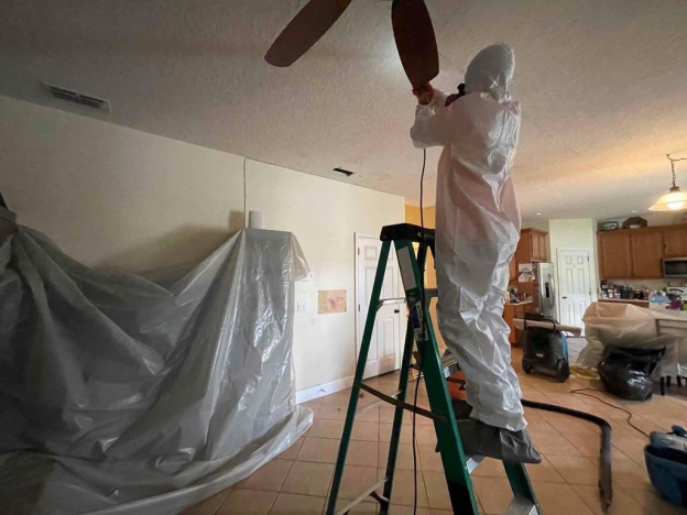 Water Damage Restoration in St. Petersburg FL: What You Need to Know