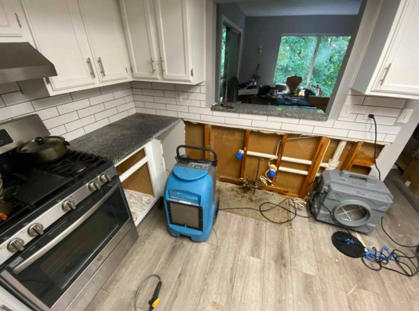 Water Damage Removal: Essential Tips for St. Petersburg Homeowners