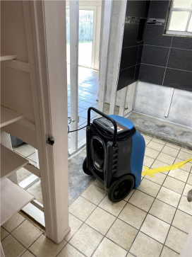 Actionable Solutions for Water Damage Removal in Orlando 