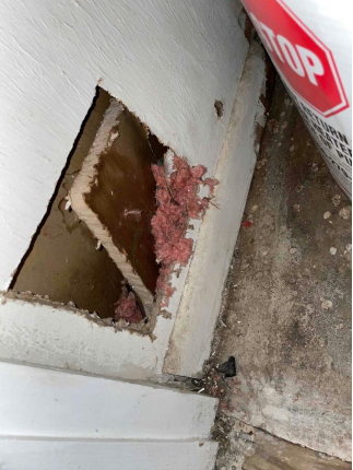 Essential Steps for Mold Cleanup in St. Petersburg Homes